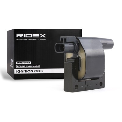 Ignition Coil RIDEX 689C0081 689C0081 - photo 2