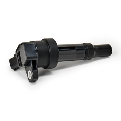 Ignition Coil RIDEX 689C0332P 689C0332P - photo 5