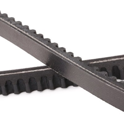 V-Belt RIDEX 10C0081P 10C0081P - photo 5