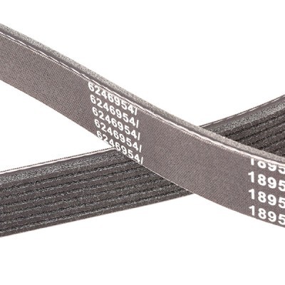 V-Ribbed Belt RIDEX 305P0416P 305P0416P - photo 5