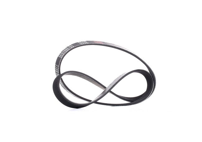 V-Ribbed Belt RIDEX 305P0159P 305P0159P - photo 1
