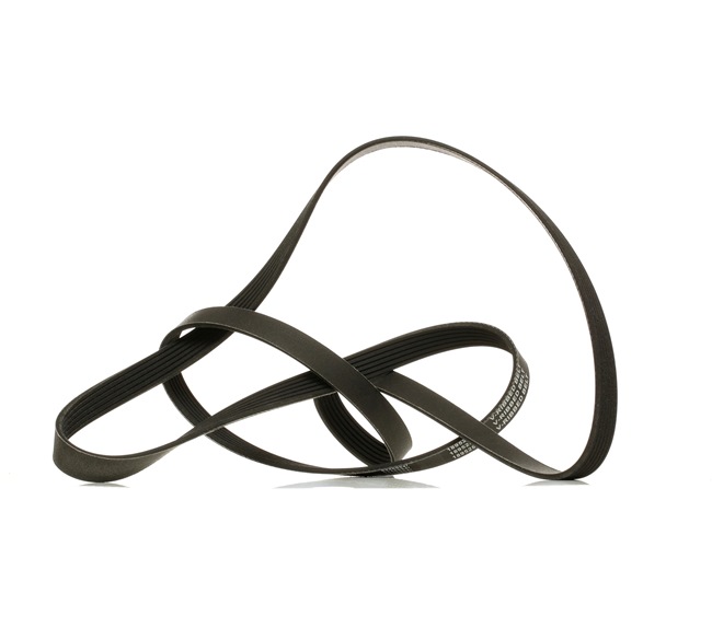 V-Ribbed Belt RIDEX 305P0343P 305P0343P - photo 1
