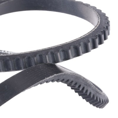 V-Belt RIDEX 10C0014P 10C0014P - photo 5