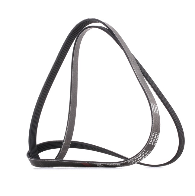 V-Ribbed Belt RIDEX 305P0158P 305P0158P - photo 1