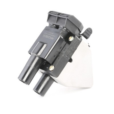 Ignition Coil RIDEX 689C0231 689C0231 - photo 3