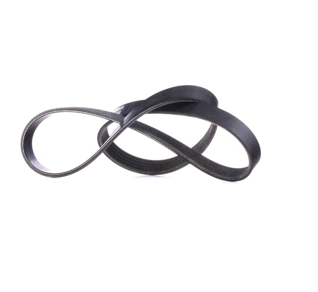 V-Ribbed Belt RIDEX 305P0176 305P0176 - photo 1