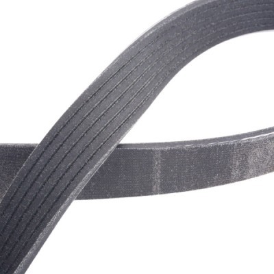V-Ribbed Belt RIDEX 305P0060P 305P0060P - photo 5