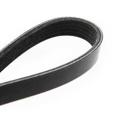V-Ribbed Belt RIDEX 305P0029 305P0029 - photo 5