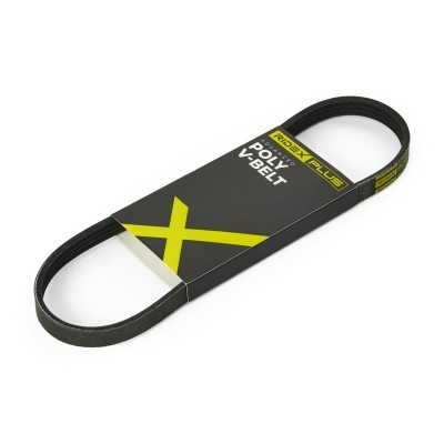 V-Ribbed Belt RIDEX 305P0006P 305P0006P - photo 2