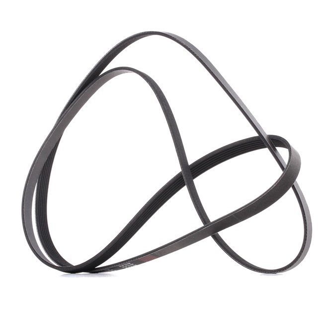 V-Ribbed Belt RIDEX 305P0350P 305P0350P - photo 1