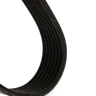 V-Ribbed Belt RIDEX 305P0688 305P0688 - photo 3