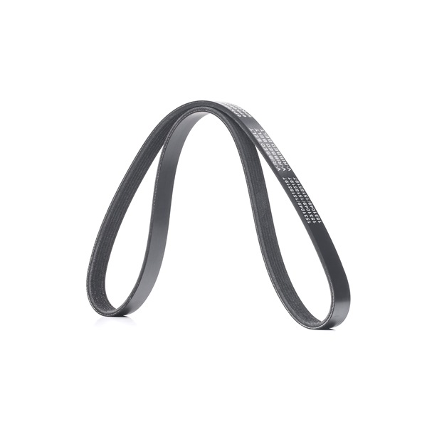 V-Ribbed Belt RIDEX 305P0446 305P0446 - photo 1