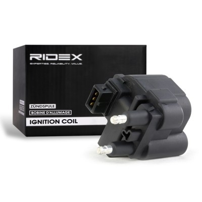 Ignition Coil RIDEX 689C0159 689C0159 - photo 2