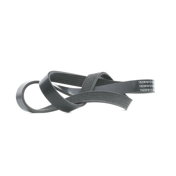 V-Ribbed Belt RIDEX 305P0393 305P0393 - photo 1