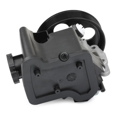 Hydraulic Pump, Steering System RIDEX 12H0046 12H0046 - photo 4