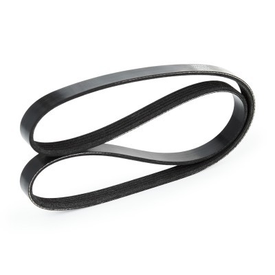 V-Ribbed Belt RIDEX 305P0111 305P0111 - photo 4