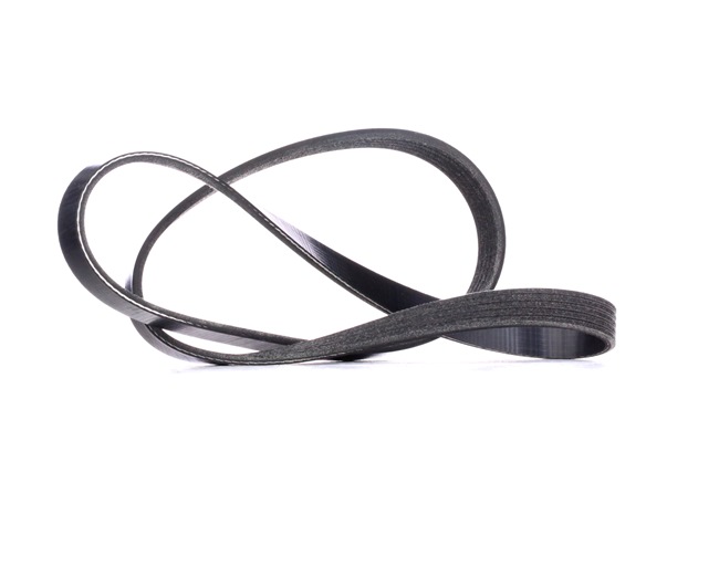 V-Ribbed Belt RIDEX 305B0258 305B0258 - photo 1