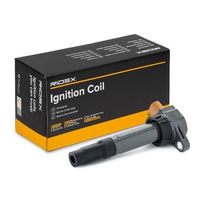 Ignition Coil RIDEX 689C0461 689C0461 - photo 2