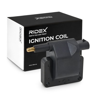 Ignition Coil RIDEX 689C0128 689C0128 - photo 2