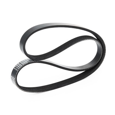V-Ribbed Belt RIDEX 305P0143 305P0143 - photo 4