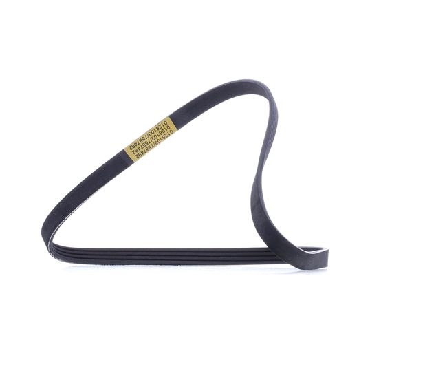 V-Ribbed Belt Stark SK-4PK884 SK-4PK884 - photo 1