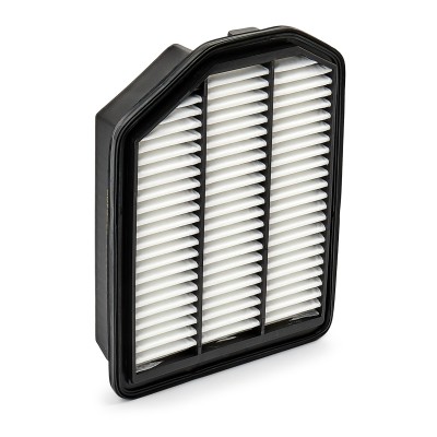 Air Filter RIDEX 8A0355 8A0355 - photo 6