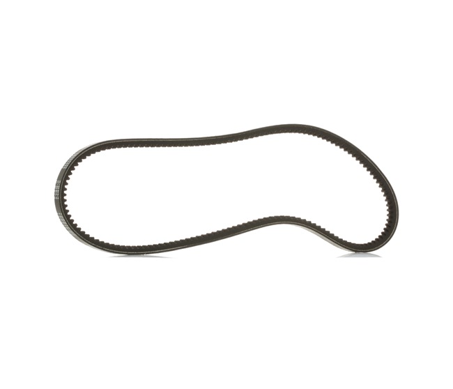 V-Belt RIDEX 10C0061P 10C0061P - photo 1