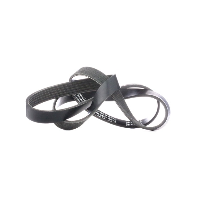 V-Ribbed Belt RIDEX 305P0231 305P0231 - photo 1