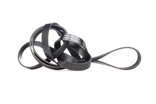V-Ribbed Belt RIDEX 305P0328 305P0328 - photo 1