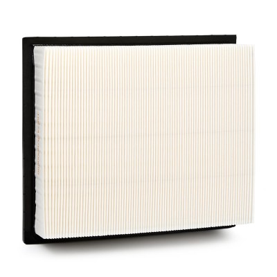 Air Filter RIDEX 8A0018 8A0018 - photo 8