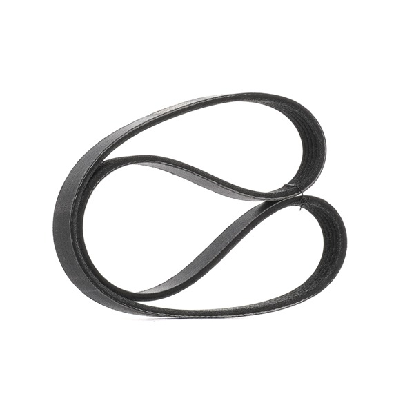 V-Ribbed Belt RIDEX 305P0172P 305P0172P - photo 1