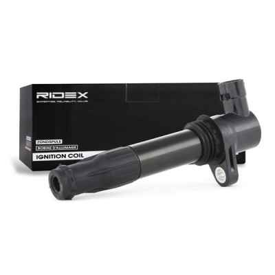 Ignition Coil RIDEX 689C0260 689C0260 - photo 3