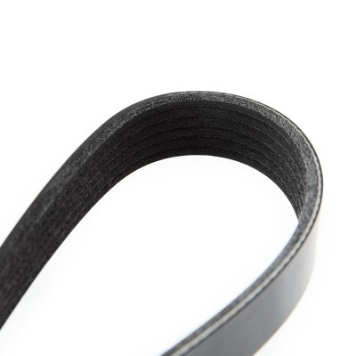 V-Ribbed Belt RIDEX 305P0311 305P0311 - photo 5
