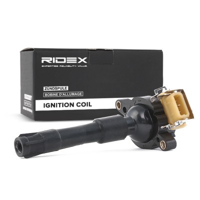 Ignition Coil RIDEX 689C0010 689C0010 - photo 3