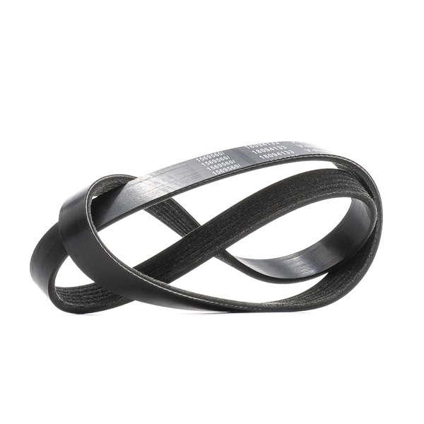 V-Ribbed Belt RIDEX 305P0608 305P0608 - photo 1