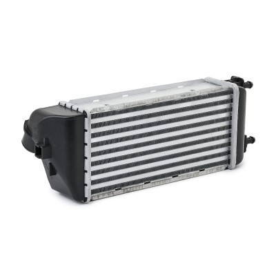 Intercooler, Charger RIDEX 468I0252 468I0252 - photo 4