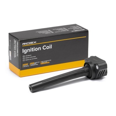 Ignition Coil RIDEX 689C0450 689C0450 - photo 2