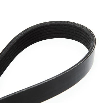 V-Ribbed Belt RIDEX 305P0079 305P0079 - photo 5