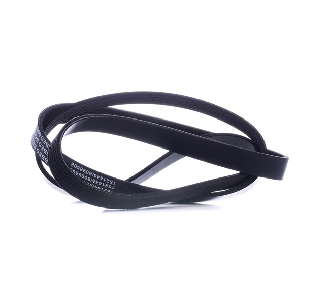 V-Ribbed Belt RIDEX 305P0072 305P0072 - photo 1