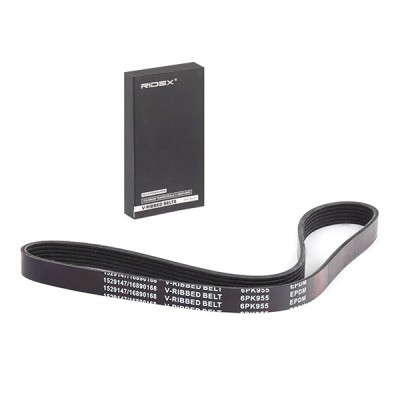 V-Ribbed Belt RIDEX 305P0549 305P0549 - photo 2