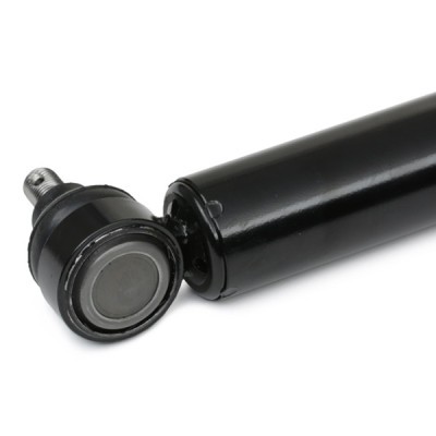 Steering Stabilizer RIDEX 130S0009 130S0009 - photo 5