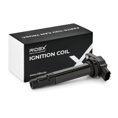 Ignition Coil RIDEX 689C0044 689C0044 - photo 2
