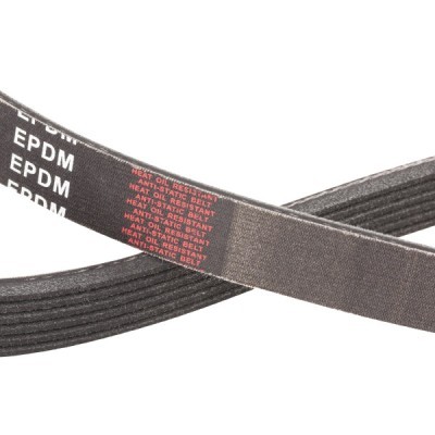 V-Ribbed Belt RIDEX 305P0095P 305P0095P - photo 5