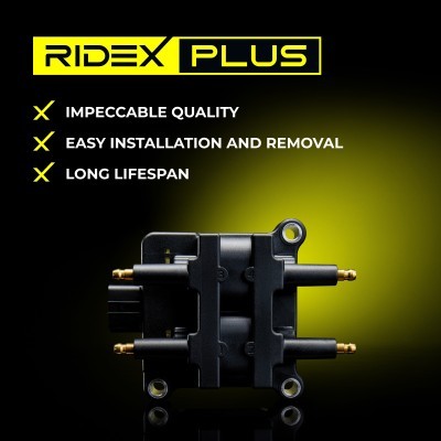Ignition Coil RIDEX 689C0348P 689C0348P - photo 13