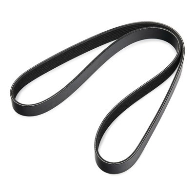 V-Ribbed Belt RIDEX 305P0603 305P0603 - photo 3