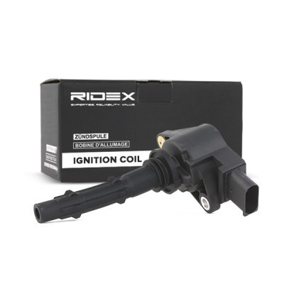Ignition Coil RIDEX 689C0048 689C0048 - photo 3