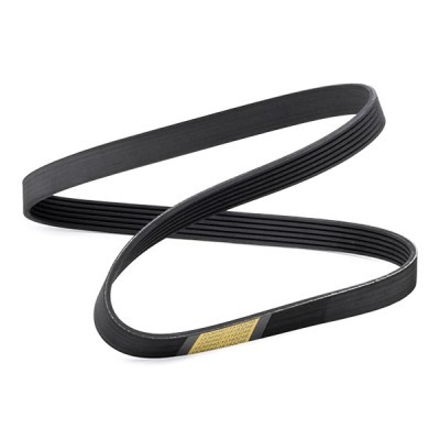 V-Ribbed Belt RIDEX 305P0428 305P0428 - photo 3