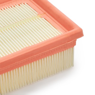 Air Filter RIDEX 8A0021 8A0021 - photo 11