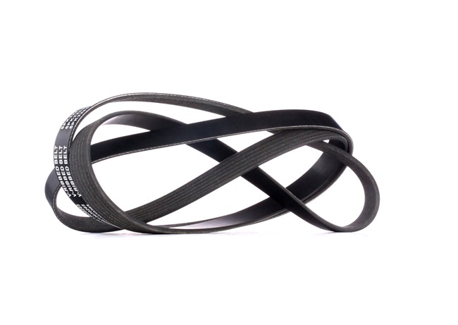V-Ribbed Belt RIDEX 305P0216 305P0216 - photo 1