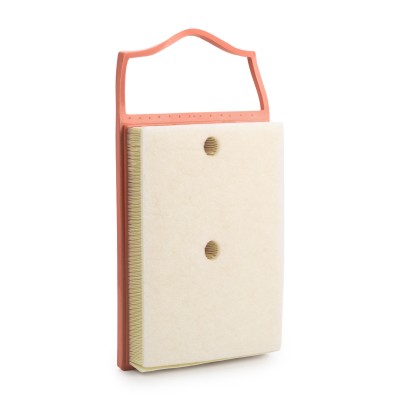 Air Filter RIDEX 8A0641 8A0641 - photo 9